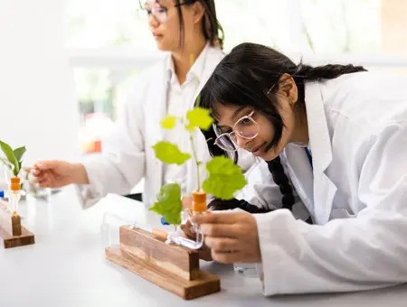 Đa dạng lựa chọn trường và ngành học